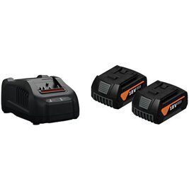 Akku-Starter-Set GBA 18 V, 2 x 5,0 Ah Akkus und Ladegerät