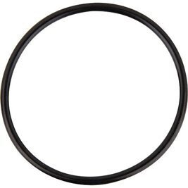 Flansch O-Ring