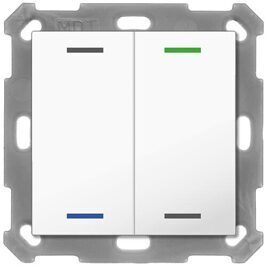 Taster Light 55 2-fach, RGBW, mit Temperatursensor, Reinweiß glänzend, Neutral