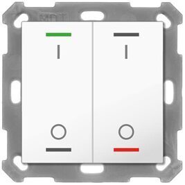 Taster Light 55 ohne Temperatursenor 2-fach, RGBW, Reinweiß glänzend, Schalten